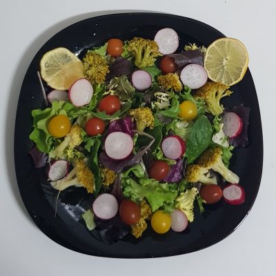 Koolhydraatarme Reuzengarnalen Salade met een tomaatjes en radijsjes