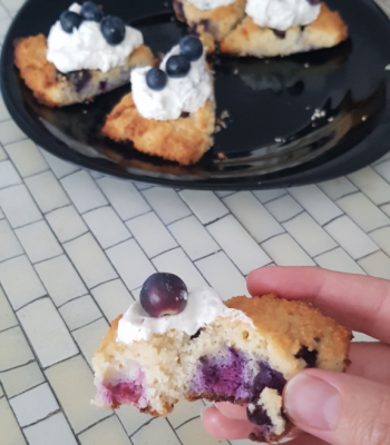Low Carb Blueberry Scones